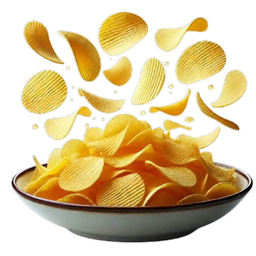 Shyam-G chips in plate footer illustration