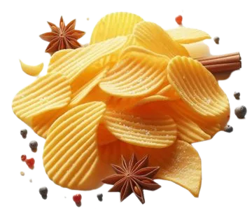 Shyam-G masala chips packaged snacks India