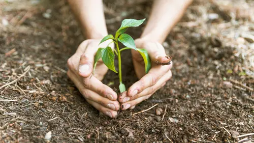 Transforming Waste into Wellness: ShyamG's STP Plants